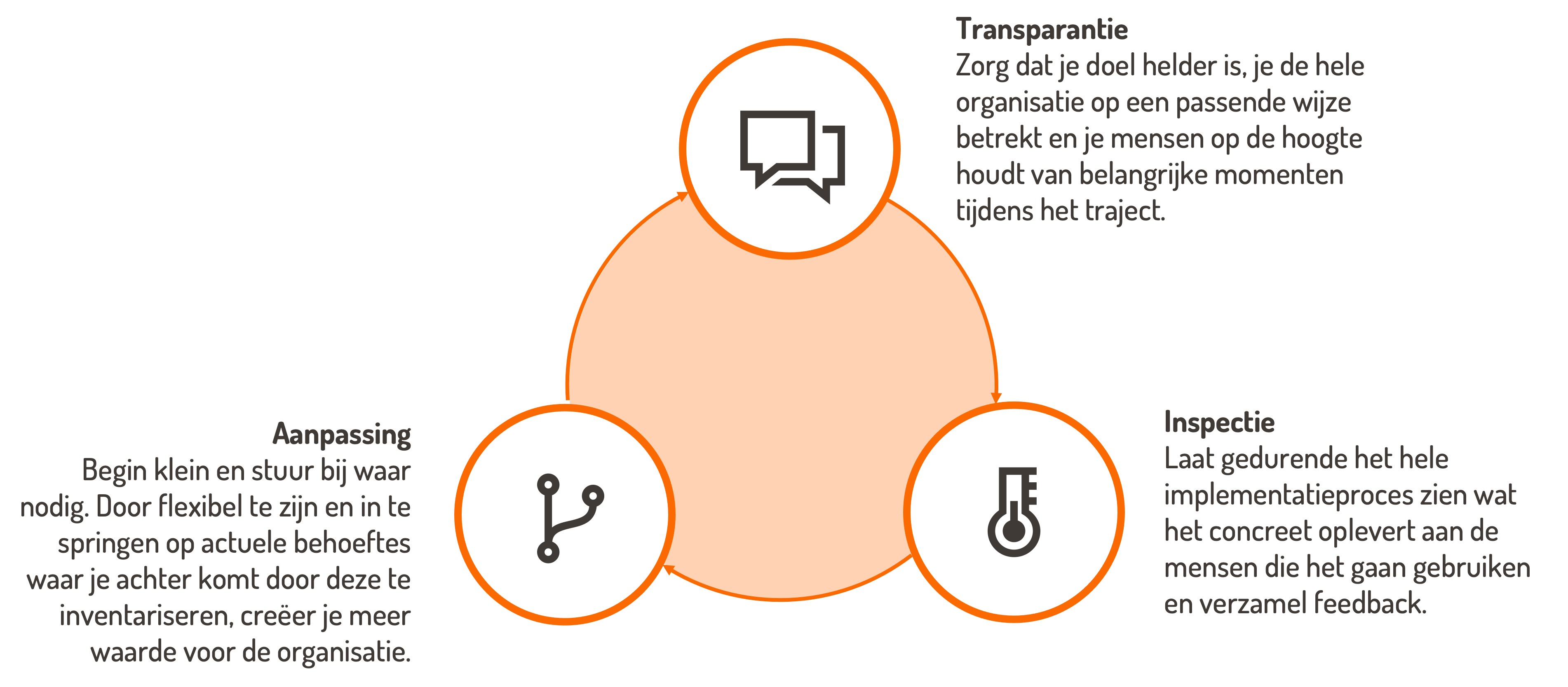 Transparantie: zorg dat je doel helder is, je de hele organisatie op een passende wijze betrekt en je mensen op de hoogte houdt van belangrijke momenten tijdens het traject. Inspectie: Laat gedurende het hele implementatieproces zien wat het concreet oplevert aan de mensen die het gaan gebruiken en verzamel feedback. Aanpassing: Begin klein en stuur bij waar nodig. Door flexibel te zijn en in te springen op actuele behoeftes waar je achter komt door deze te inventariseren, creëer je meer waarde voor de organisatie.
