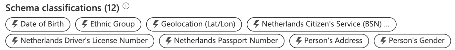 Gegevensclassificaties in Microsoft Purview